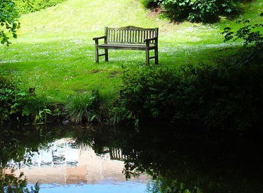 Peacerevitt